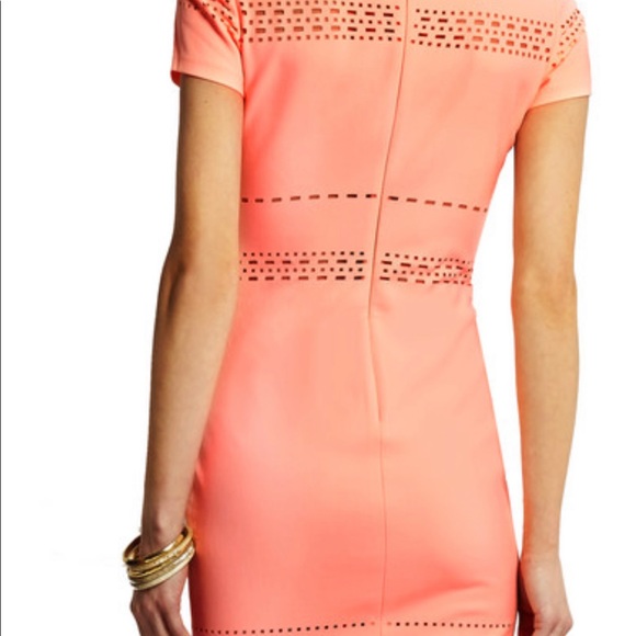 Elizabeth and James Ari dress - Picture 6 of 7